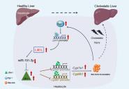 ŶJournal of Hepatologyоɹ