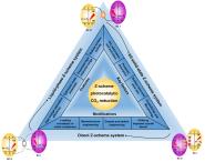 ǷУĺԵһڹʶѧڿAngewandte Chemie