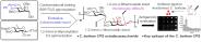 Angewandte ChemieŶԱ֢ر࿹ԭоɹ
