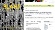 УľŴֹصʵƪPlant Cell־ͬڷ