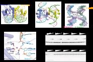 УṹѧоŶӽʾҶDNA޸ķӻ