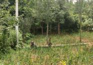 �߽�������壬������׼��ƶ