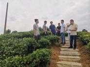 ��У���ҵ�ŶӸ���֦�ؿ�չʯ������������ָ�������й���