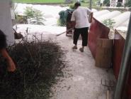 ҩѧԺѧ�Ӹ�������������չ֧ũ��ũ�