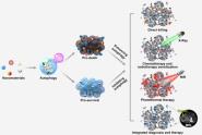 ƽŶAccounts of Chemical Research