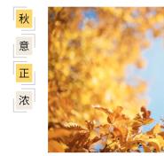 Ũ-ִѧ