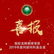 ڽٻ2019Ⱥ