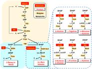 ǰءACS CatalysisУ½չ