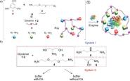 ϴѧҩѧԺУƸоԱࡢڳ¾ڡACS Catalysisоɹ