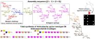 Angewandte ChemieϴѧѧԺŶ˾࿹ԭоɹ