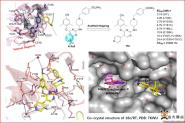 ӾŶJournal of Medicinal ChemistryHIV-1 NNRTIsо³ɹ