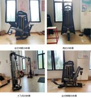 У豸