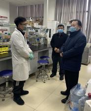 �������쵼�Ӳ���У���͹�״������Ⱦ�ķ���������ع���