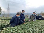 校领导赴平塘县大塘镇开展脱贫攻坚调研