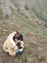 【备战春耕农忙时】我校农学院学生积极帮扶春耕生产