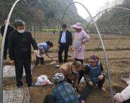 【备战春耕农时忙】不负农时争朝夕 “博士村长”助春耕