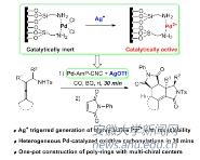 ۽˫һʿѧϢоԺڿAngew. Chem. Int. Ed.־ҪоɹǾٴ߻