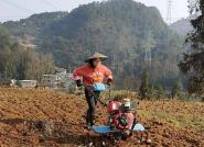 【备战春耕农忙时】我校药学院支农服务队助力春耕生产