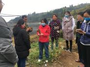 我校茶产业专家服务团赴普安县开展产业扶贫工作