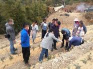 我校茶产业专家服务团赴望谟县开展产业扶贫工作