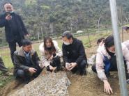 【备战春耕农忙时】我校生命科学学院携“博士村长”到紫云县指导楠竹培育工作