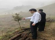 我校林学院赴台江调研闽楠造林和322冰雹灾害
