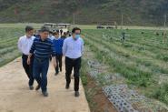 校领导带队赴赫章县开展农业农村产业调研