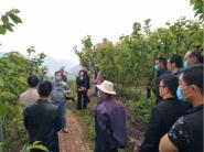 生命科学学院“博士村长”服务脱贫攻坚在行动