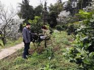 贵州大学农研学子进田间助力春耕