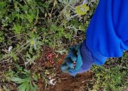 春耕助农——农院学子在行动