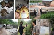 贵州大学生态渔业团队专家到独山县老屋基村指导石蛙病害防治