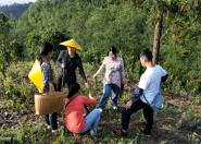 贵州大学茶产业团队赴普安县开展科技扶贫工作