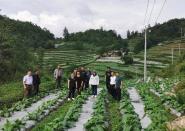 �̲�ѧԺר�Ҹ�����ָ���̲������º������