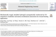 ҽҩѧŶChemical Engineering Journal޸͸ǿˮоɹ