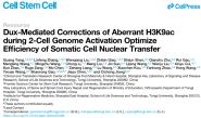 ١ҡ¼褷һϸο߿¡Чʣɹ߷ڡCell Stem Cell