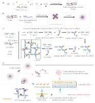 ¿Angewandte ChemieDNAϸѧͻЭͬ